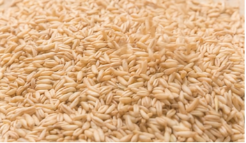 1761106495336324887.png 图片11.png