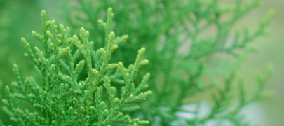 1764567320807656387.png 图片8.png