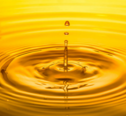 1763427151223706406.png 6.png