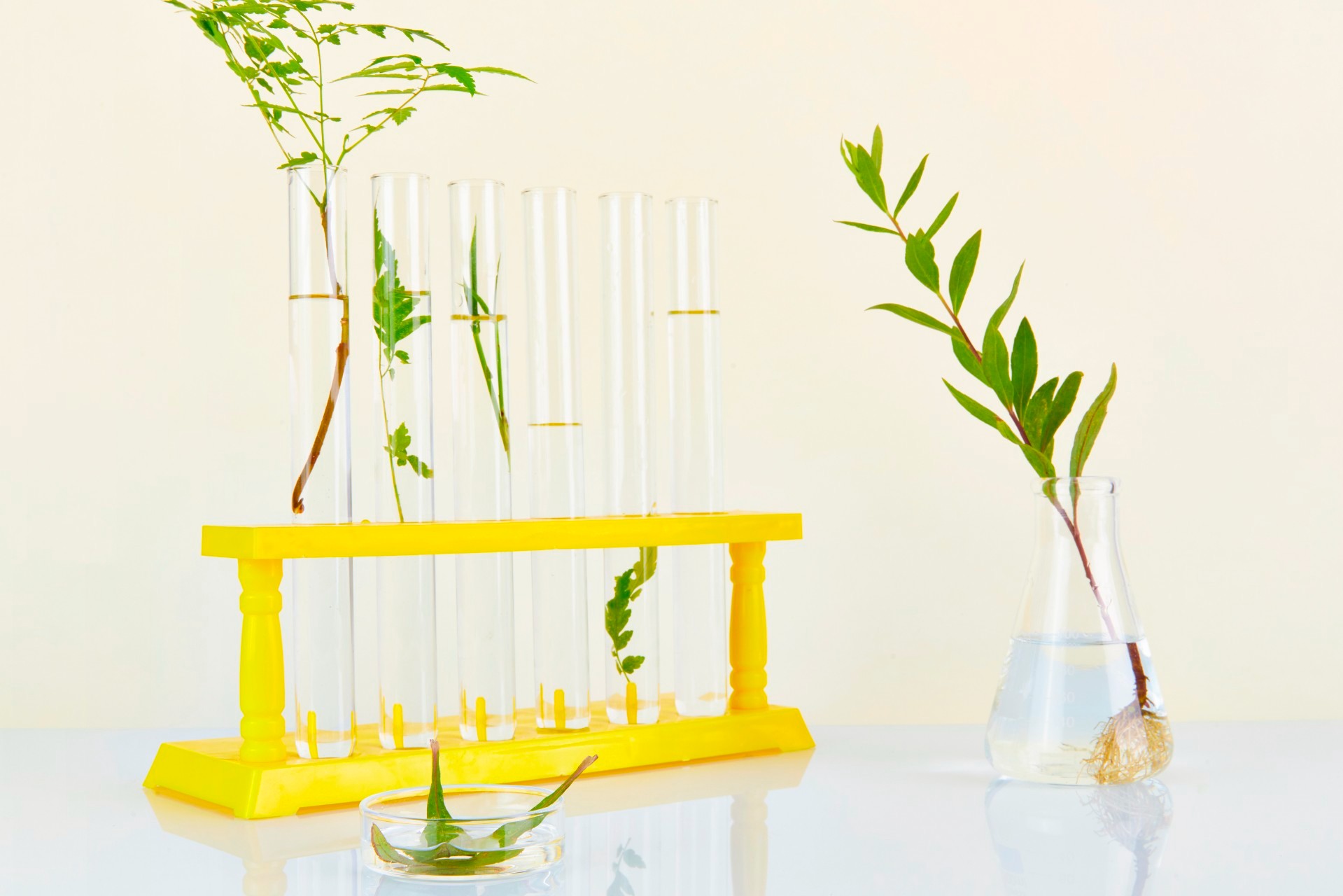 This is a product title